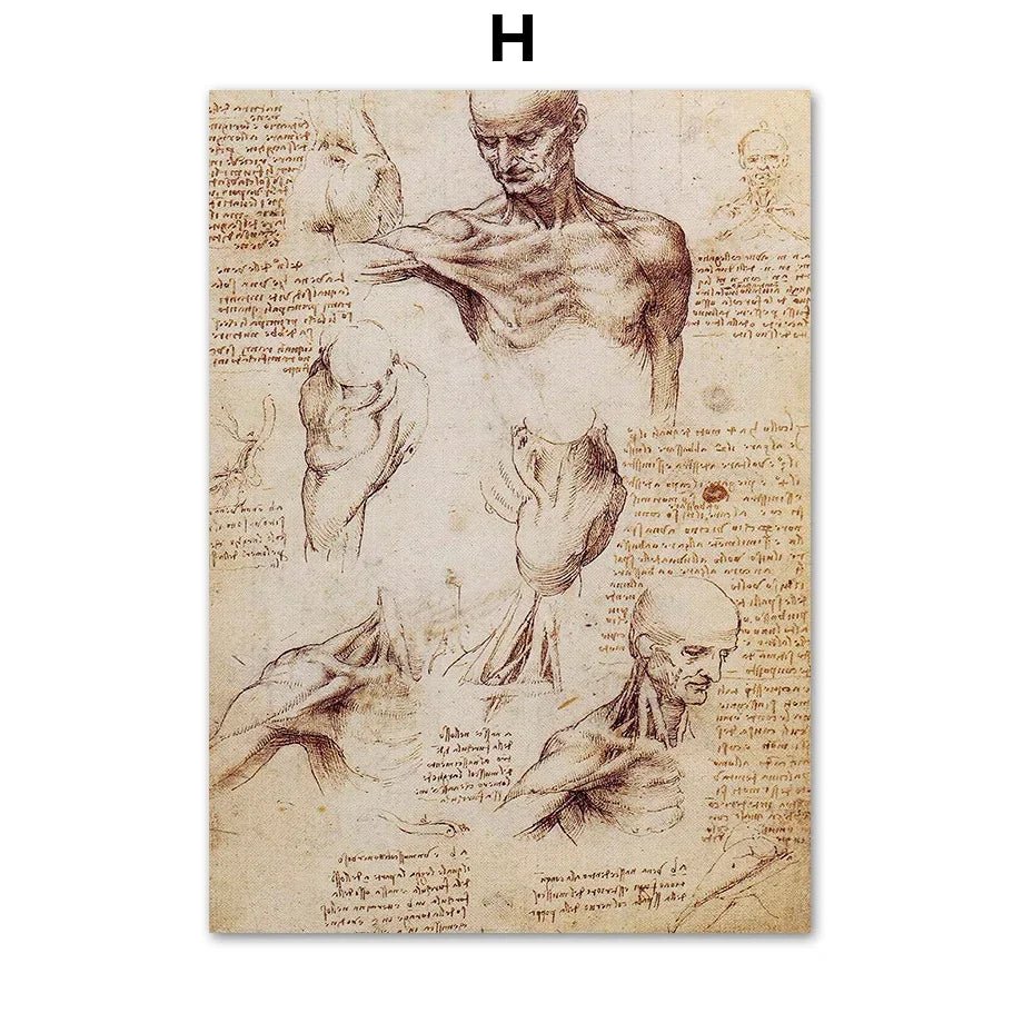 DaVinci Sketch Anatomy Muscle Vitruvian Man Wall Art Canvas Painting Nordic Poster And Prints Wall Picture For Living Room Decor - DeadScholarSociety