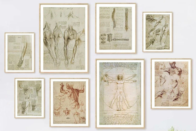 DaVinci Sketch Anatomy Muscle Vitruvian Man Wall Art Canvas Painting Nordic Poster And Prints Wall Picture For Living Room Decor - DeadScholarSociety