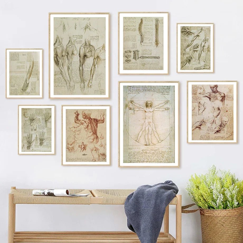 DaVinci Sketch Anatomy Muscle Vitruvian Man Wall Art Canvas Painting Nordic Poster And Prints Wall Picture For Living Room Decor - DeadScholarSociety