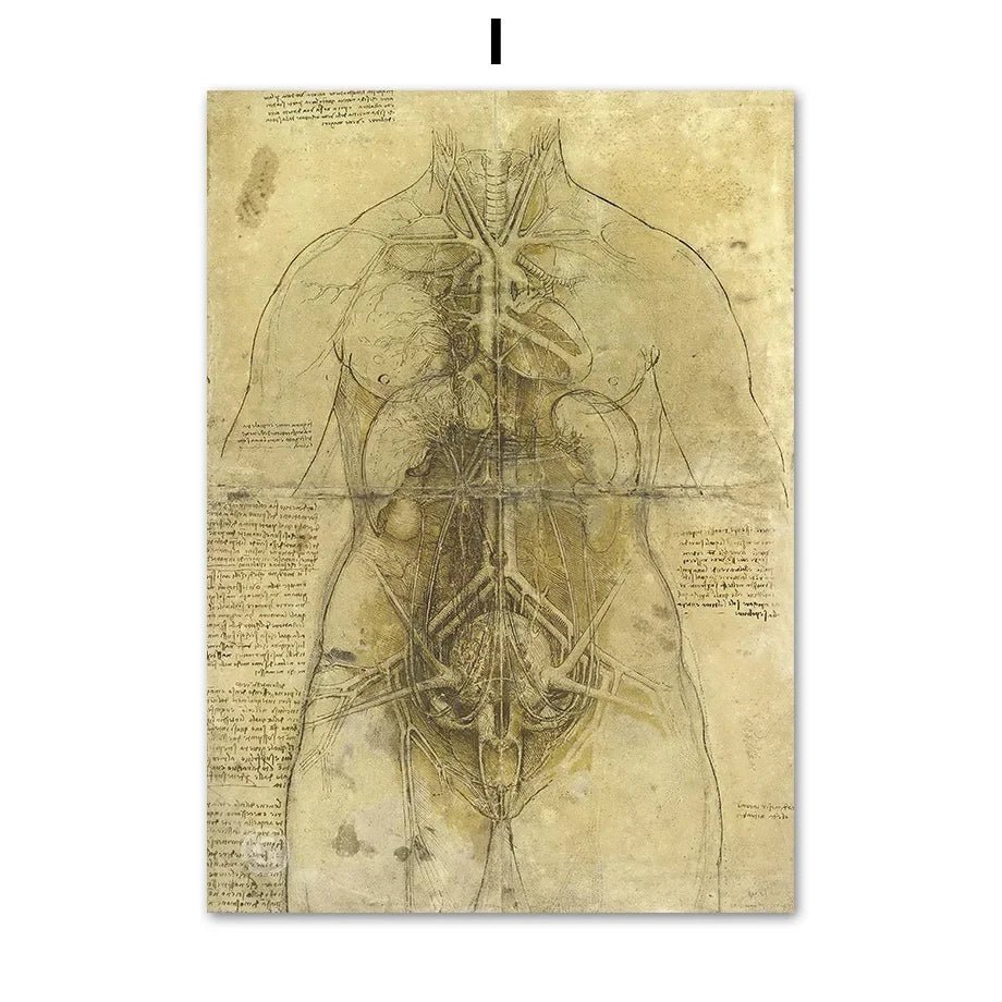 DaVinci Sketch Anatomy Muscle Vitruvian Man Wall Art Canvas Painting Nordic Poster And Prints Wall Picture For Living Room Decor - DeadScholarSociety