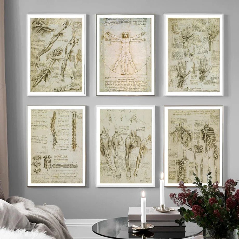 DaVinci Sketch Anatomy Muscle Vitruvian Man Wall Art Canvas Painting Nordic Poster And Prints Wall Picture For Living Room Decor - DeadScholarSociety