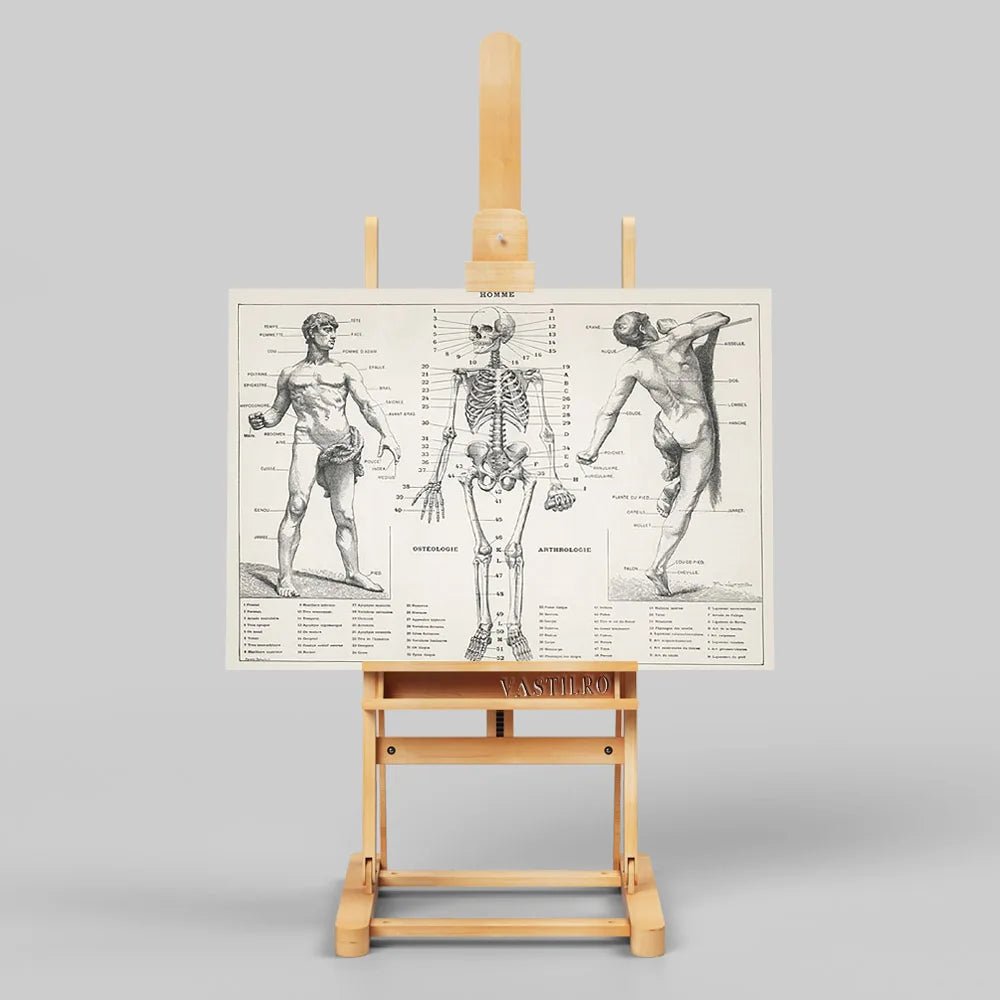 Pierre Larousse Antique Art Print Poster The Human Body Scientific Illustration Wall Picture Skeleton Canvas Painting Decor Gift(Human) - DeadScholarSociety