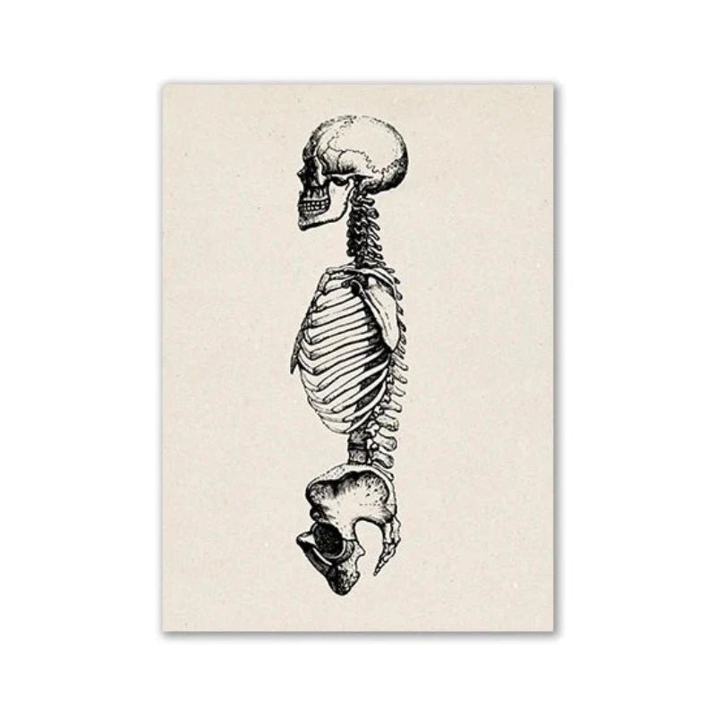 Vintage Human Anatomy Artwork Medical Wall Picture Muscle Skeleton Poster Canvas Art Print Education Hospital Pharmacy Paintings (Human Skeleton) - DeadScholarSociety