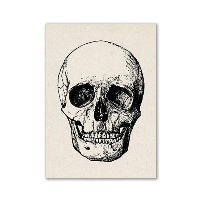 Vintage Human Anatomy Artwork Medical Wall Picture of Skull - DeadScholarSociety